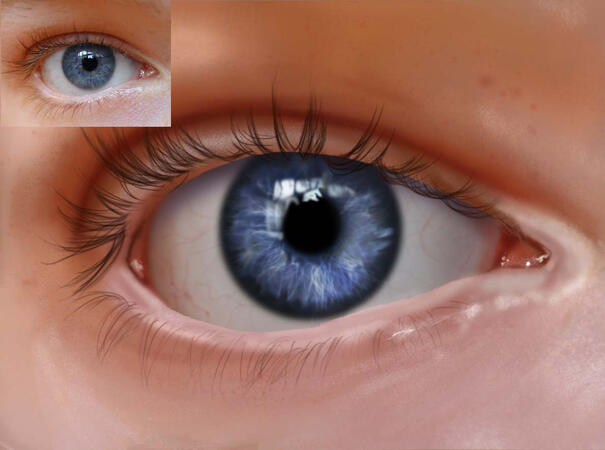 Reference in the top left. This was an assignment for my Photoshop class.